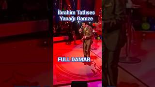 İbrahim Tatlıses - Yanağı Gamze Resimi