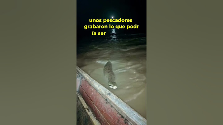 Anaconda de frente con un pescador en el río Amazonas.