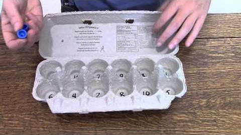Egg Carton Math Games | Fun Addition & Multiplication for Kids (Grades K–4)
