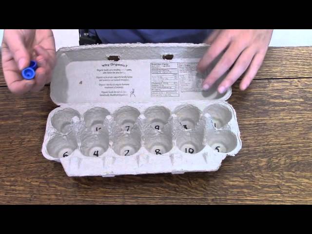 Egg Carton Math: A Fun Addition & Multiplication Game For Kids - Youtube