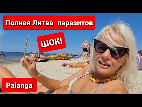 Video: Tours naar Palanga