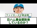 日ハム黄金期到来 しているのか？