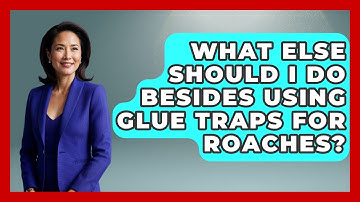 What Else Should I Do Besides Using Glue Traps For Roaches? - Insects and Invaders