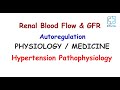 Renal blood flow  gfr autoregulation  hypertension pathophysiology  physiology  medicine hs 6
