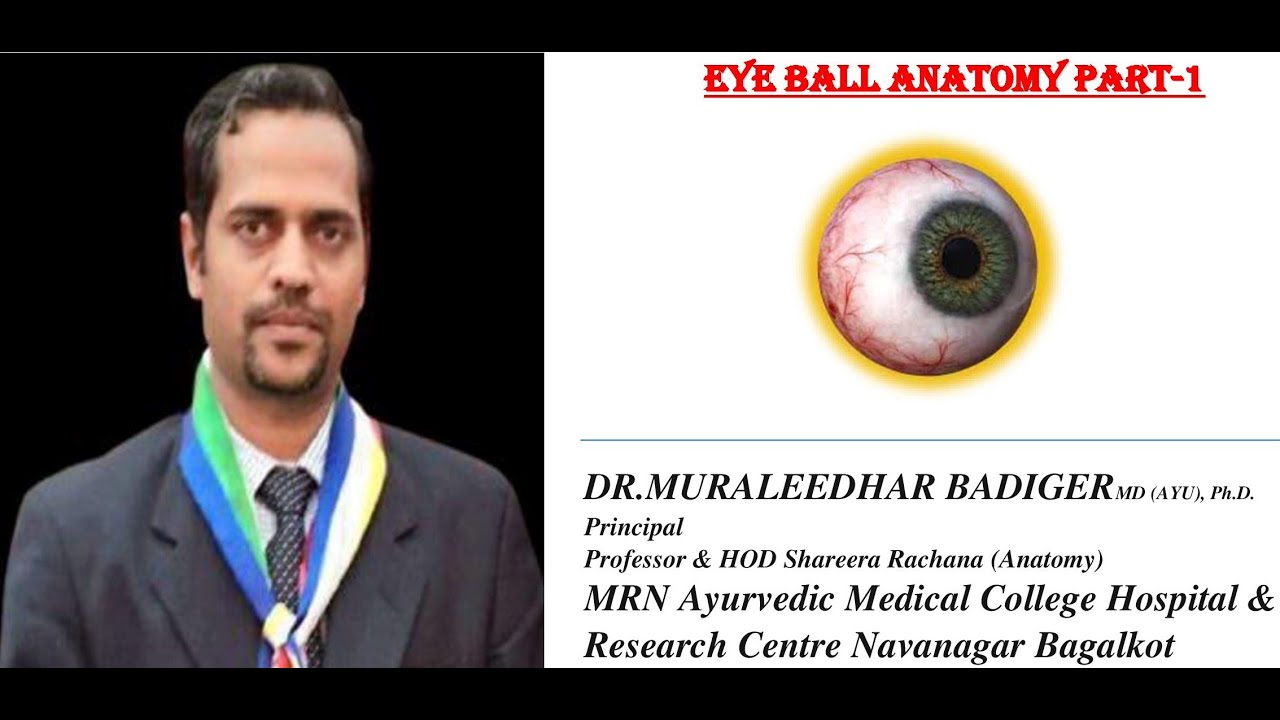 Eye ball anatomy 1 - YouTube