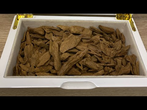 عود مروكي طبيعي اصقون دقة سوبر مرتفع ودبل سوبر