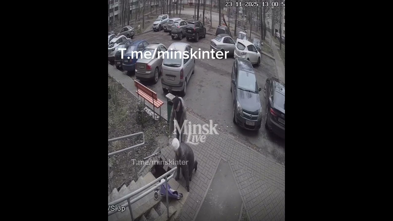 Минчанка провалилась в грунтовую яму после обвала тротуарной плитки