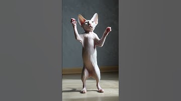 AI Sphynx Cat Dancing 😹 | Funny AI Cat Animation #Shorts