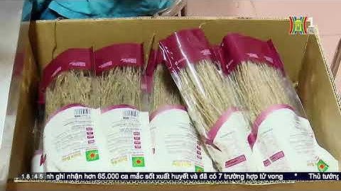 CÔNG ĐOÀN TP ĐỒNG HÀNH CÙNG DOANH NGHIỆP VÀ NGƯỜI LAO ĐỘNG