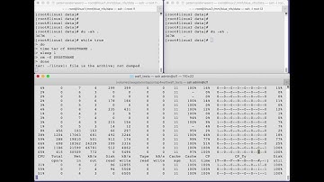 Netapp ONTAP WAFL explored Module 1 Demo