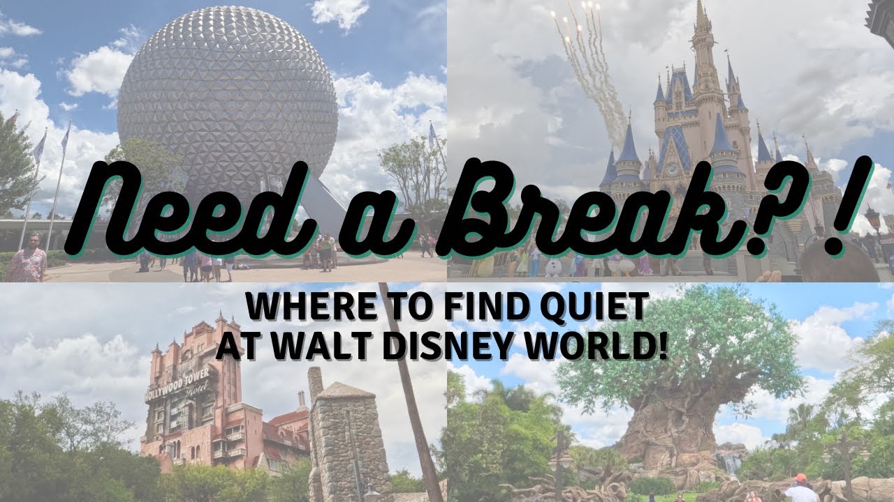 Discover the BEST Locations to Escape the Crowds at the Walt Disney ...