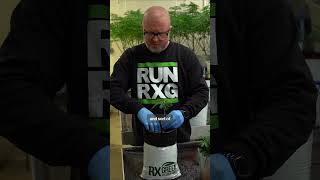 How to Plant Clones in Rx Green's RTUs the Easy Way