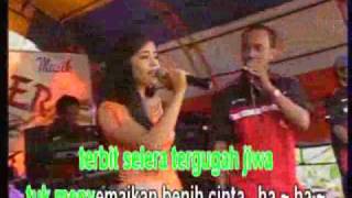 DAWAI ASMARA Vocal : Shinta dan Arlan by HALMAHERA