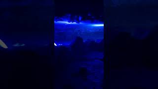 Famous Inside Ruby Falls in Chattanooga, TN Net Worth