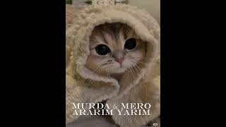 𝓜𝓾𝓻𝓭𝓪 𝓜𝓮𝓻𝓸 - 𝓐𝓻𝓪𝓻𝓲𝓶 𝔂𝓪𝓻𝓲𝓷 (𝓼𝓹𝓮𝓮𝓭 𝓾𝓹)