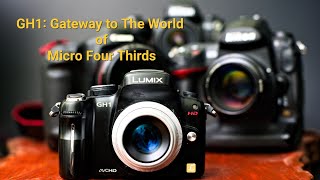 Famous Is The Panasonic GH1 a great gateway into MFT or Photography in general in 2024? Profile
