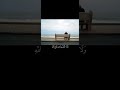 و ل ا ت ي أ س وا م ن ر و ح الل ه تلاوة خاشعة بصوت الشيخ فارس عباد