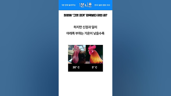 남자들의 자존심 ‘그것크기’ 일본이 1등이라고? #일본 #일본반응 #일본어