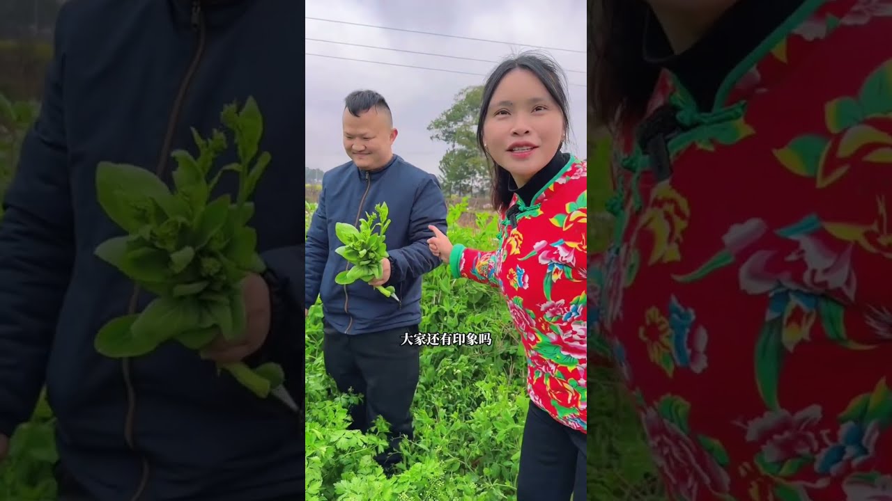 一往情深，湖北小张四次踏足地球村，目的明确初心不改 #元宵仪式感藏在传统文化里 #我的乡村生活 #传统文化