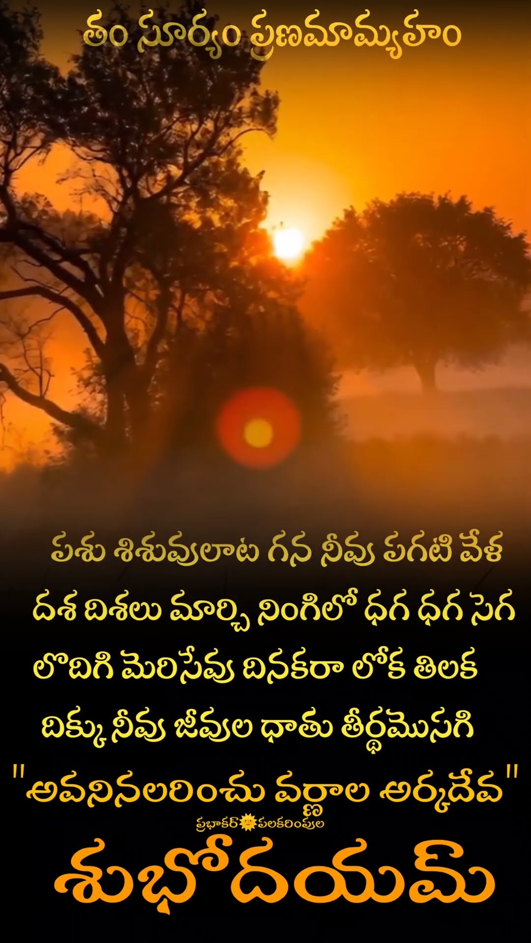 తం సూర్యం ప్రణమామ్యహం - ShareChat