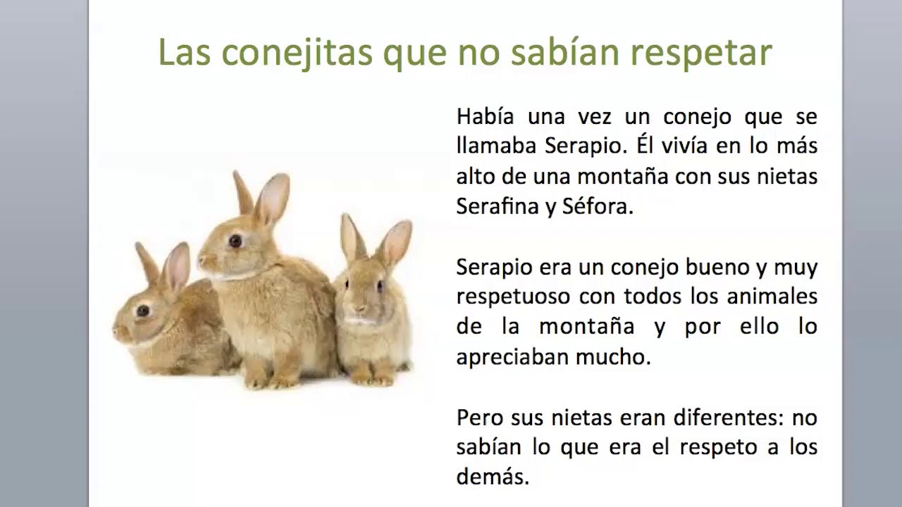Las conejitas que no sabían respetar - YouTube
