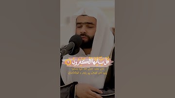 سورة الكافرون #پێشەوا_قادر_الکردی 🌸.           new idet🙈💗