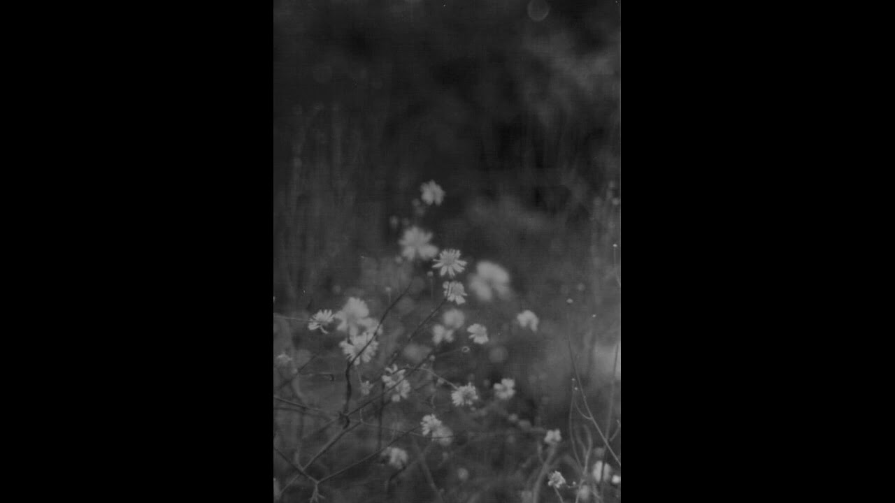 [free for profit] Southside Type Beat - "Crisp"