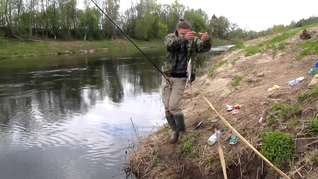 Ловля на удочку весной видео. Весенняя рыбалка на вимбу. Сиваковка рыбалка. Сиваковка Приморский край рыбалка. Рыбалка весной на поплавок на реке.