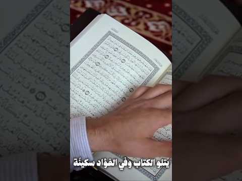 ملأ السماء الحين تألقت