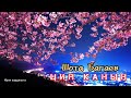 Шота Багаев Цин канын Премьера трека 2024 Шота Багаев Цин канын Премьера трека 2024