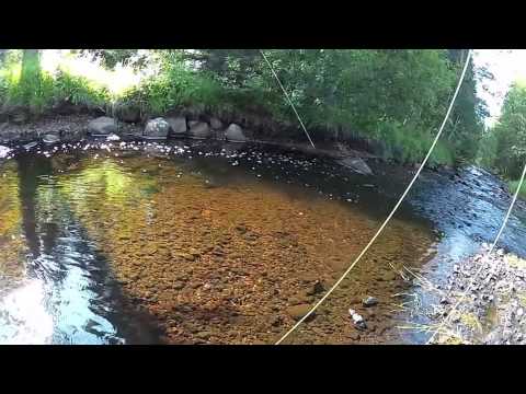 Mixat fiske från 2013! Fishing compilation 2013!