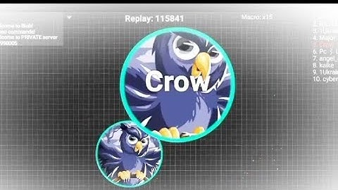 Special 80 Subscribers In Blob.io | HI RYDEX Official