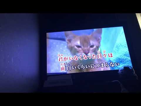【歌ってみた（カラオケ）】DISH// 猫～THE FIRST TAKE ver.～