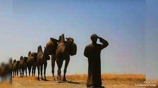 Kervan Kervan Güzel Kervan