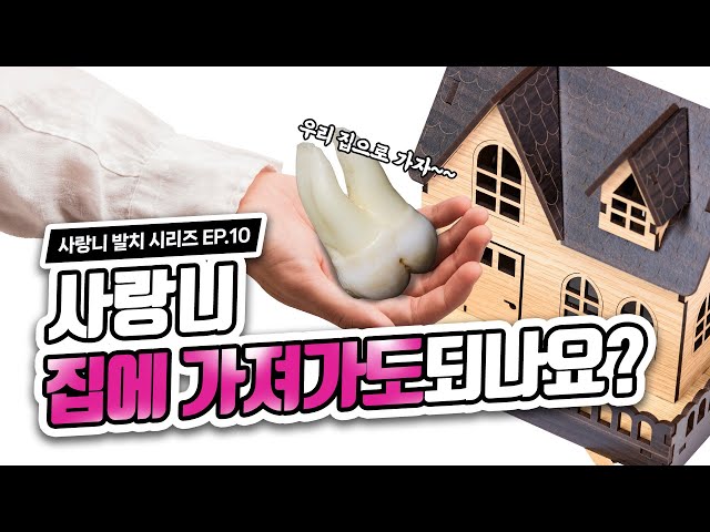 발치한 내 사랑니, 집에 가져가도 될까?