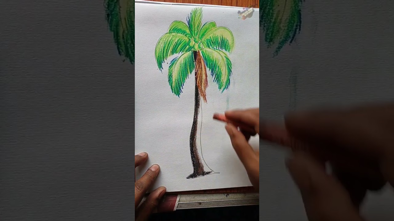 How To Draw Coconut Tree With oil Pastel 