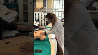 Ne var yani 5 kez YKS, 3 kez ÖSS, 2 kez KPSS ye girmişsem ne olmuşkine hiççç 😅