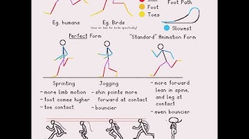 Run Cycles Animation Tutorial - Please work Youtube #animation #tutorial #animationmeme