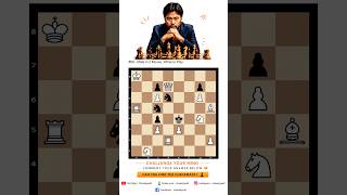 Test your tactical vision and solve Mate in 2 🔥 #ChessTactics #MateIn2 #ChessBySaif
