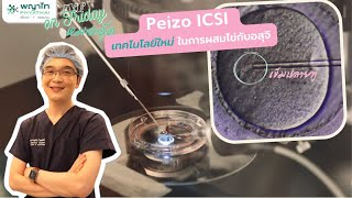 IVF on Friday : Peizo ICSI เทคโนโลยีใหม่ในการผสมไข่กับอสุจิ