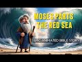 The Amazing Escape from Egypt!