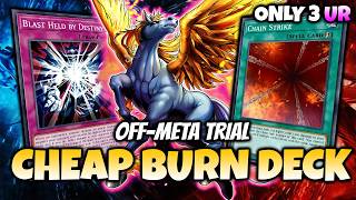 Literally No Counter 💎 SpeedRun an Off Meta Trial in under 10 minutes [Master Duel]