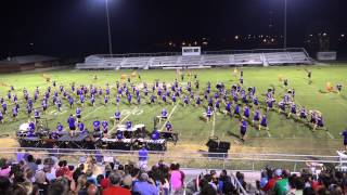 2014 DeSoto Central High School Marching Band: DeSoto County Exhibition