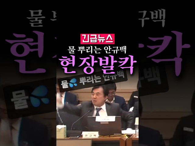 (속보) 물 뿌리는 안규백...