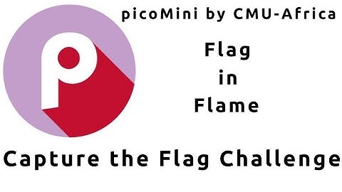 Flag in Flame | Forensics | picoMini by CMU-Africa