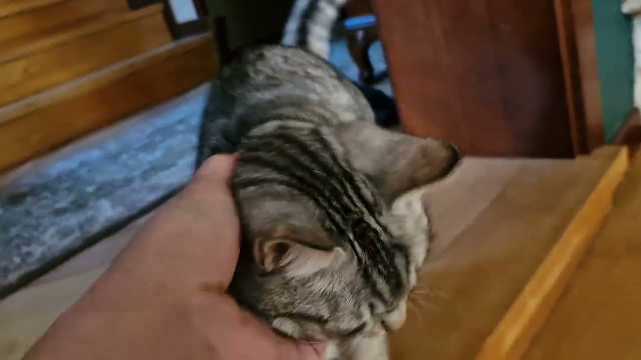 Wracamy do zajęć - daily vlog  9 marca 2026