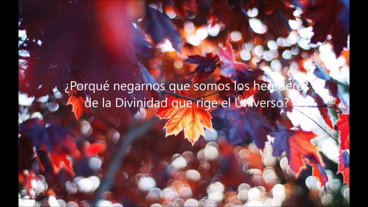 Somos Seres de Luz, aprendiendo y compartiendo. El despertador de la vida 216