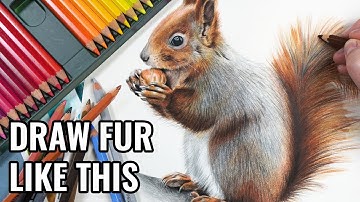 How to Draw Realistic Fur with Watercolor Pencils | Step-by-Step Squirrel Tutorial