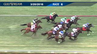 Gulfstream Park Replay Show | March 20, 2016