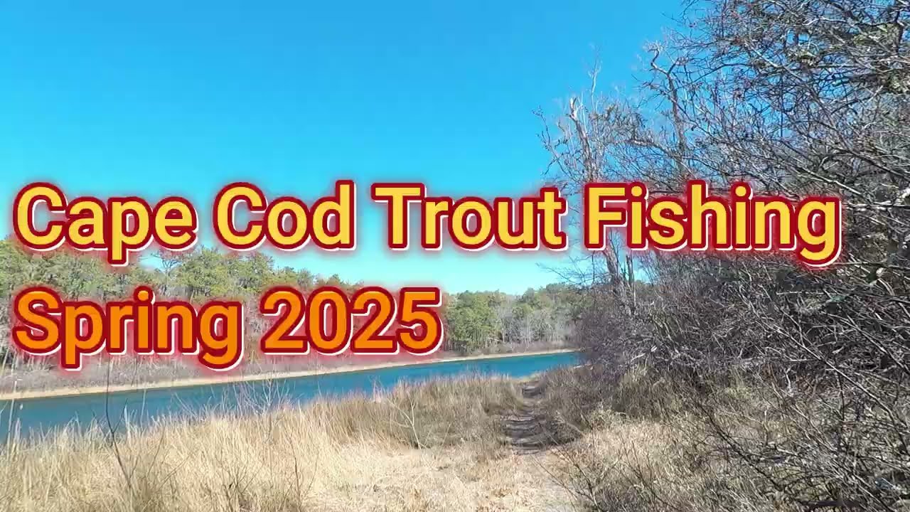 Cape cod trout fishing Spring 2025